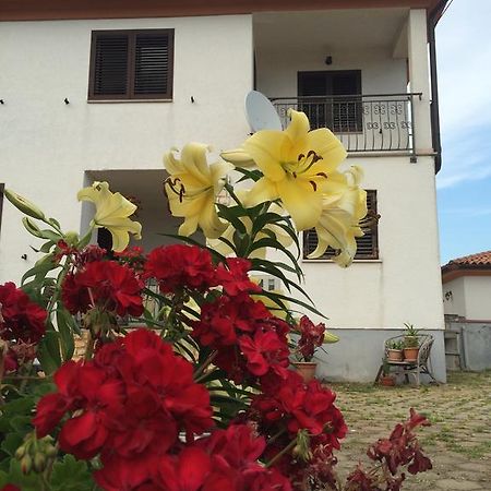Apartments Bodi Rovinj Exterior photo
