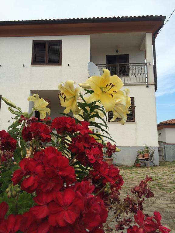Apartments Bodi Rovinj Exterior photo